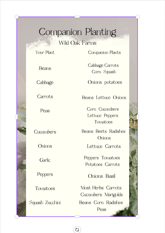Simple Companion Planting Guide