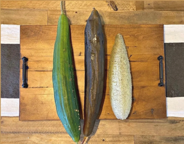 a freeze warning, green luffa, what to do?