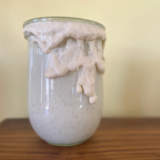 managing your sourdough starter: part one