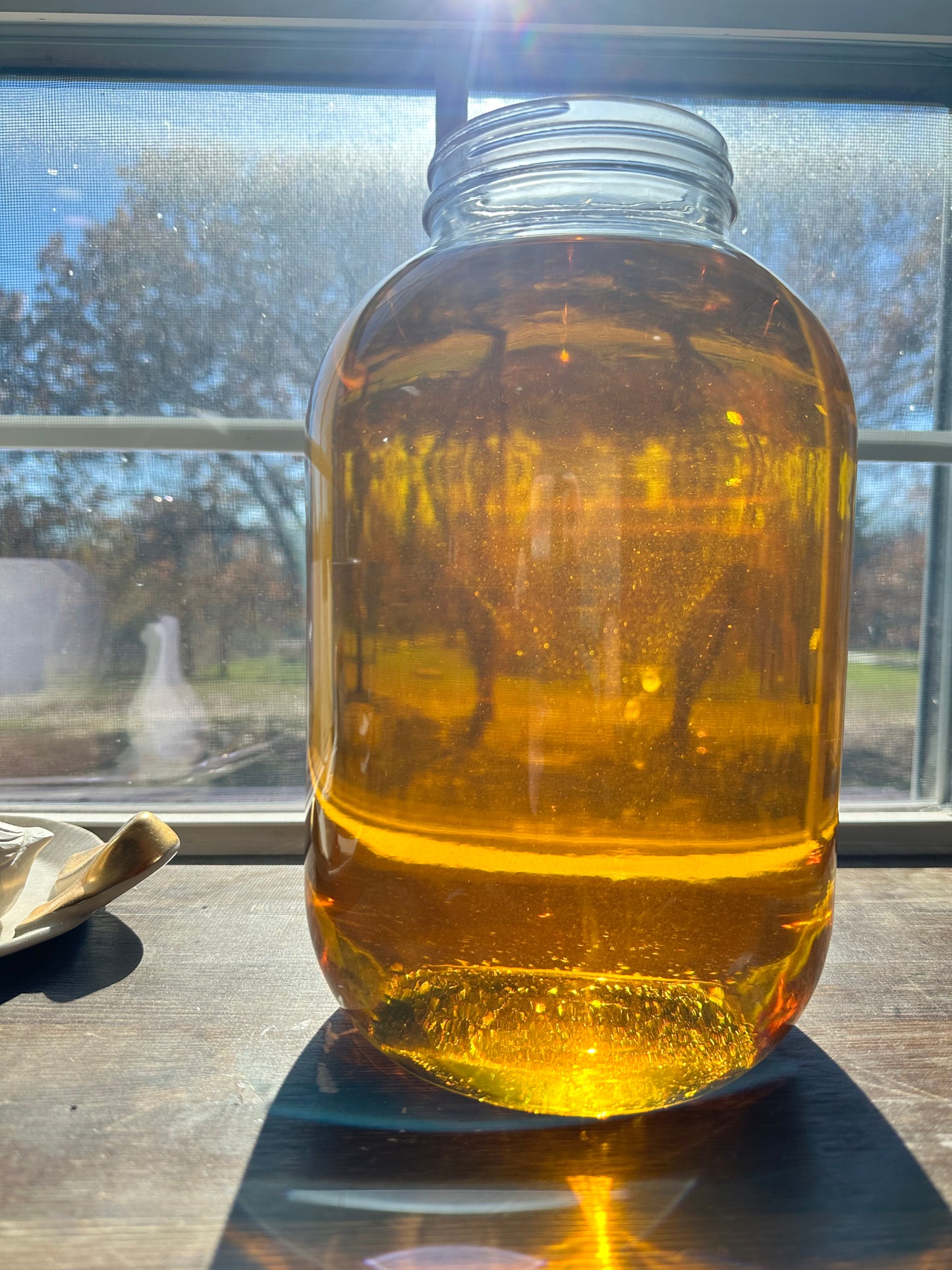 Organic Calendula Salve