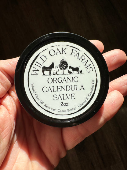 Organic Calendula Salve