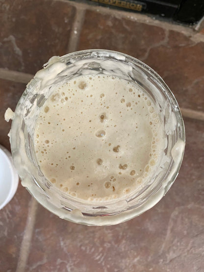 Sourdough Starter (Dehydrated)