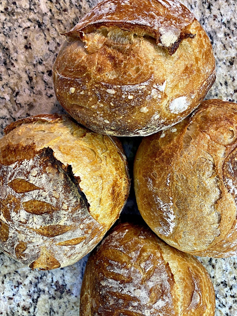 Sourdough Starter (Dehydrated)