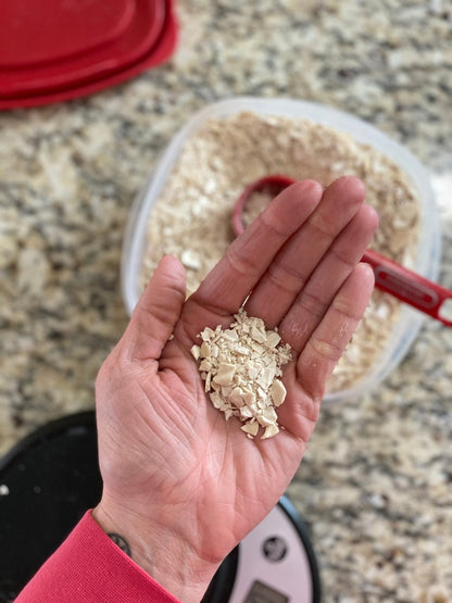 Sourdough Starter (Dehydrated)