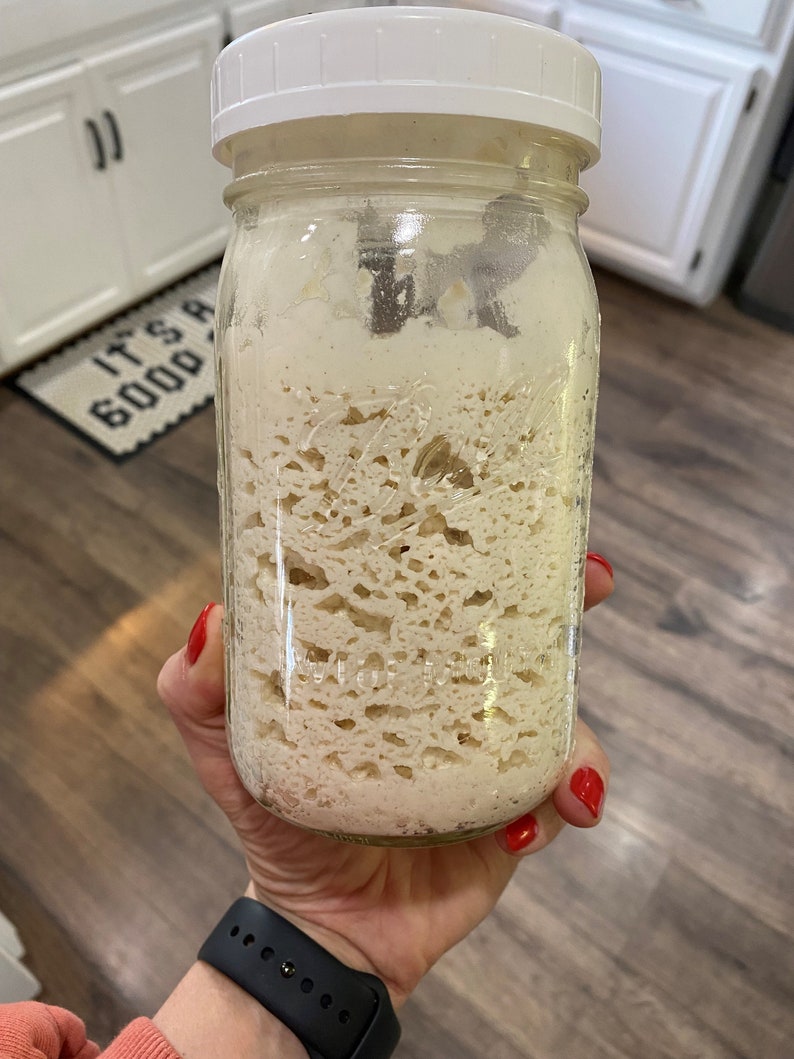 Sourdough starter store for sale