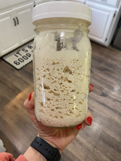 Sourdough Starter (Dehydrated)