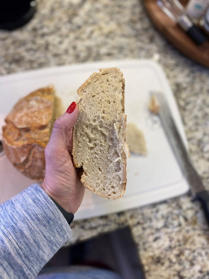 Sourdough Starter (Dehydrated)